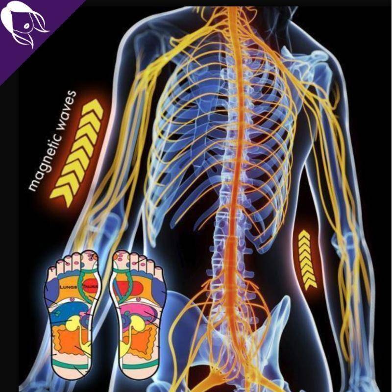 VitaFeet - Chaussettes Brûle Graisses & Anti-Rétention par Acupression